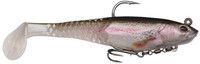 Rainbow Trout
