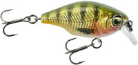Holo Perch