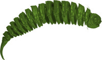 The Grass