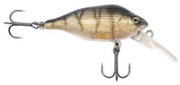 UV Striped Shiner