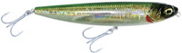 Sardine
