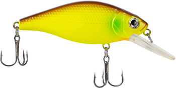 Wobler X-Fish Chipotel 70F