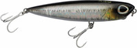 Baitfish