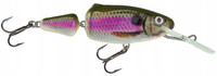 Spot Bait