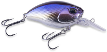 Wobler Doiyo Kobito 48 Shudan