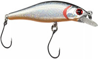 Silver Trout