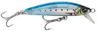 Ghost Sardine