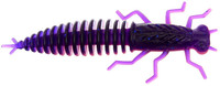 Violet Pink