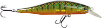 Troutansparent Perchrch