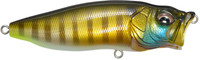 Pm Wild Gill