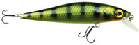 Perch