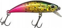 King Salmon