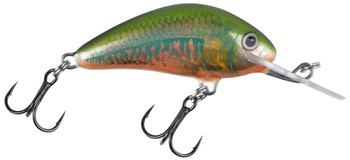 Wobler Salmo Hornet F