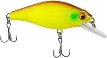 Wobler X-Fish Chipotel 50F