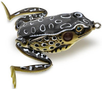 Tree Frog
