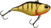 Matt Perch