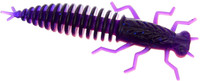 Violet / Pink