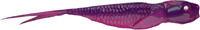 Biskup