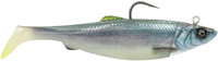 Coalfish