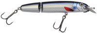 Blue Herring