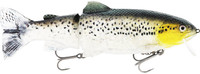 Headlight Deluxe Trout