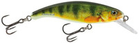 Young Perch