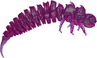 Purple Jelly