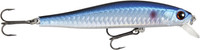 Blue Roach