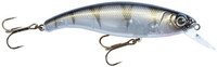 UV Striped Shiner
