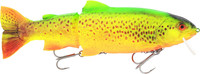 Firetiger Trout