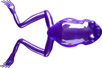Fioletowy