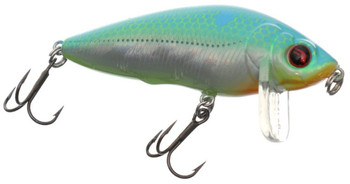 Wobler Flagman Astell