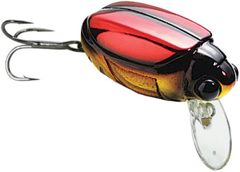 Wobler biedronka Bassday Bun 30F