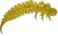 Classic Yellow