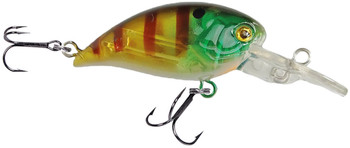 Wobler Robinson Buster F40