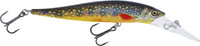 Brown Trout Fry