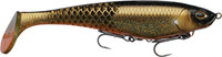 Shallow Golden Bream
