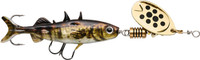 Natural Stickleback