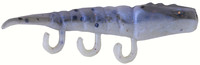 Molting Shrimp