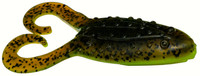 Green Pumpkin Chartreuse Belly
