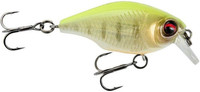 Fluor Yellow Tiger