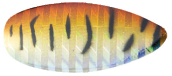 Obrotówka Mistrall Sorius