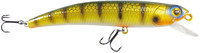 Perch