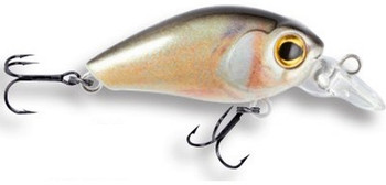 Wobler Robinson Arnie F35