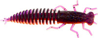 Violet Orange