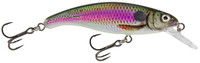 Spot Bait