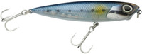 Sardine
