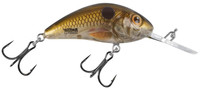 Clear Pearl Shad