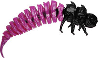 Pink Larve Bl