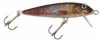 019